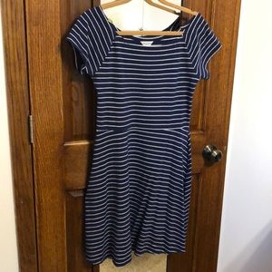 Arizona Blue and White Striped Dress